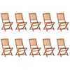 vidaXL Set comedor de jard&iacute;n 11piezas madera maciza acacia 220x90x75cm