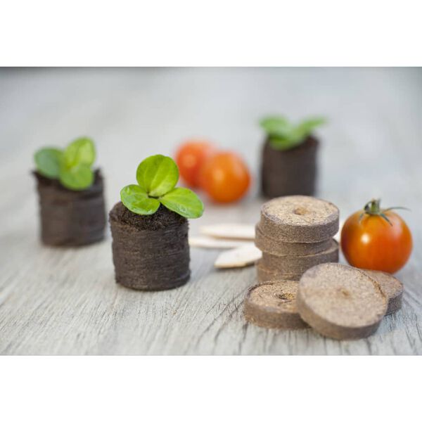 Nature Kit b&aacute;sico propagador 106 piezas