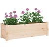 vidaXL Jardineras 2 uds madera maciza de pino 100x31x31 cm