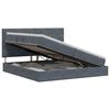vidaXL Cama con almacenamiento y colch&oacute;n Gris oscuro 200 x 200 cm