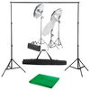 vidaXL Kit de estudio fotogr&aacute;fico con set de luces y fondo