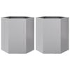 vidaXL Jardineras hexagonales 2 uds acero inoxidable 46x40x45 cm