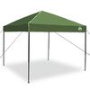 vidaXL Carpa Dosel Manual Verde 243 x 243 x 251 cm tela