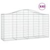 vidaXL Cestas de gaviones 40 uds forma de arco hierro 200x50x100/120cm