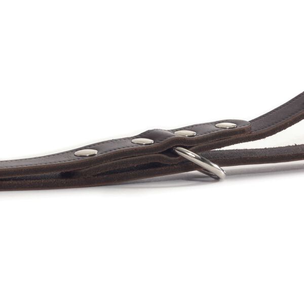 Beeztees Correa de entrenamiento cuero marr&oacute;n 200x1,2 cm 736401
