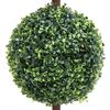 Imagen en miniatura del producto 3 de 5