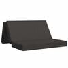 vidaXL Sof&aacute; Cama Plegable 120 x 67 x 45 cm Gris oscuro