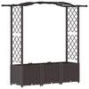 vidaXL Cama elevada con trellis y techo Marr&oacute;n 164 x 40 x 138 cm PP