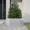 vidaXL Jardinera hexagonal acero galvanizado 104x90x45 cm