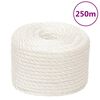 vidaXL Cuerda de trabajo polipropileno blanco 10 mm 250 m
