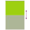 vidaXL Estor Enrollable Opaco hojas verde 155x230cm Tela Ancho 151,6cm