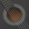 vidaXL Set de guitarra cl&aacute;sica para principiante 12 pzas negro 4/4 39"