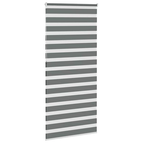 vidaXL Estor cebra gris oscuro tejido ancho 105,9 cm poliéster