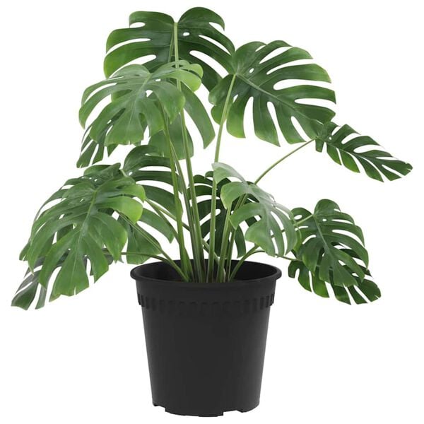 vidaXL Maceta Redonda para Flores 6 pcs Negro &Oslash; 17 x 14 cm Pl&aacute;stico