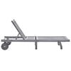 vidaXL Tumbona de jard&iacute;n con coj&iacute;n madera maciza de acacia gris