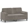 vidaXL Sof&aacute; 2 plazas almohadas y cojines terciopelo gris claro 140 cm