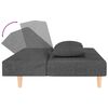 vidaXL Sof&aacute; cama de 2 plazas con dos almohadas tela gris oscuro