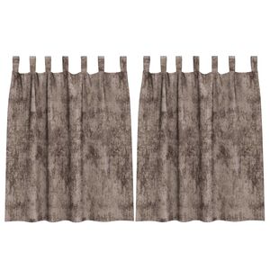 vidaXL Cortina con cortinas 2 pcs Capuchino 140 x 140 cm Terciopelo