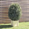 vidaXL Jardinera de madera maciza de pino blanco 40x40x40 cm