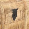 vidaXL Cofres de almacenamiento 2 unidades madera maciza de mango