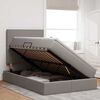 vidaXL Cama con almacenamiento y LED Taup&eacute; 120 x 190 cm Poli&eacute;ster