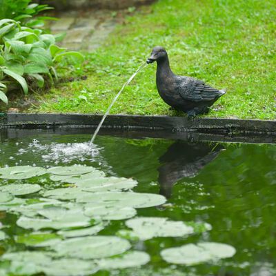 Ubbink Fuente de jardín con chorro y en forma de pato