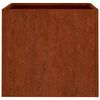 vidaXL Jardineras 2 unidades acero corten 49x47x46 cm