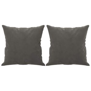 vidaXL Cojines decorativos 2 uds terciopelo gris oscuro 40x40 cm