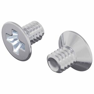 vidaXL Tornillos de Cabeza Avellanada 2 pcs Plateado M4 x 6 mm Acero