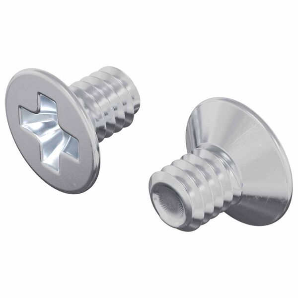 vidaXL Tornillos de Cabeza Avellanada 2 pcs Plateado M4 x 6 mm Acero