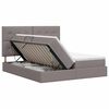 vidaXL Cama con almacenamiento con cabecera Topo 200 x 200 cm Tela