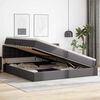 vidaXL Cama con almacenamiento y LED con LED Gris Claro 200 x 200 cm