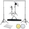 vidaXL Kit de estudio fotogr&aacute;fico con set de luces, fondo y reflector