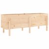 vidaXL Arriate elevado de jard&iacute;n madera maciza de pino 160x50x57 cm