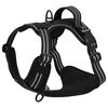 vidaXL Arnés para perros con correa y collar ajustable negro XL