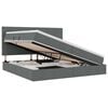 vidaXL Cama de almacenamiento LED con colch&oacute;n Gris oscuro 200 x 200 cm