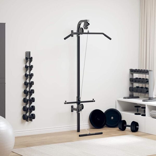 vidaXL Gimnasio en casa de pared con 2 poleas
