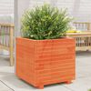 vidaXL Jardinera madera maciza de pino marr&oacute;n cera 50x50x49,5 cm
