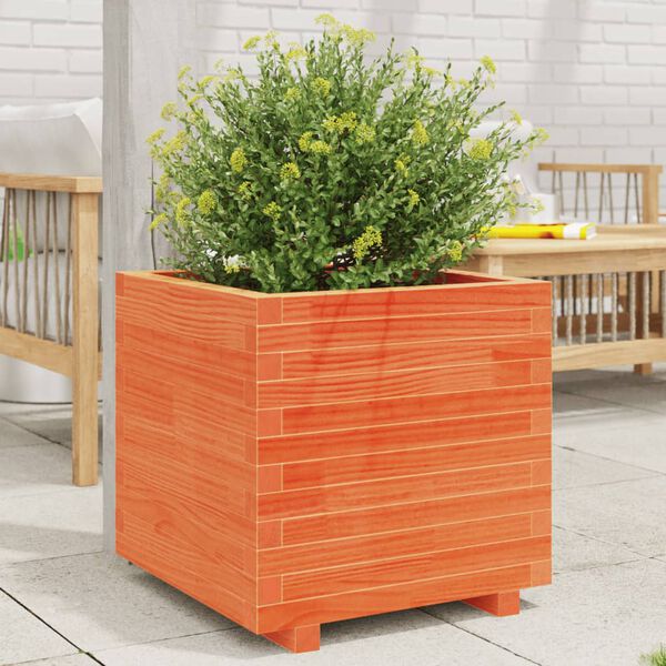 vidaXL Jardinera madera maciza de pino marr&oacute;n cera 50x50x49,5 cm
