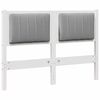 White_and_light_grey