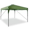 vidaXL Carpa Dosel Manual Verde 290 x 290 x 251 cm tela