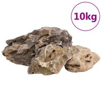 vidaXL Piedras de dragón gris 10 kg 10-40 cm