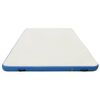 vidaXL Plataforma flotante inflable azul y blanco 300x150x15 cm