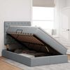 vidaXL Cama con almacenamiento y LED Gris Claro 120 x 190 cm Poli&eacute;ster