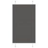 vidaXL Estor Plisado negro 75x100 cm Tela Ancho 74,4 cm Poli&eacute;ster