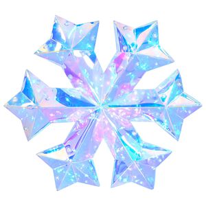 vidaXL Copo de nieve LED iridiscente prism&aacute;tico Multicolor