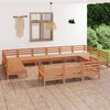 vidaXL Juego muebles de jard&iacute;n 13 pzas madera maciza pino marr&oacute;n miel