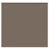 vidaXL Estor Enrollable Opaco Color Caf&eacute; 155x130 cm Tela Ancho 151,6cm