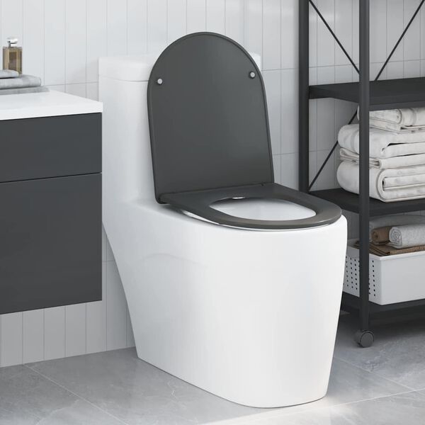 vidaXL Asiento de WC Antracita 47 x 36 x 3,4 cm Duroplast