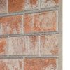 vidaXL Paneles de pared 10 pcs Naranja 100 x 50 cm Espuma EPS